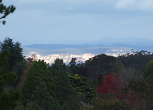 Blue Mountains